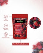 Nurture Tree Mixed Berries, Antioxidant-Rich Gourmet Mix, 400gm 3 in 1 - Healthly Snacks Contains Dried Blueberries | Strawberries | Goji Berries | Good Source of Fibre