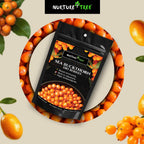 Nurture Tree Sea Buckthorn Dried Berries | Sun-Dried Superfood for Energy & Immunity | Natural & Unsweetened | Rich in Omega 3-6-7-9, Vitamin C & E | Supports Skin, Gut & Heart Health | No Preservatives (200gm)