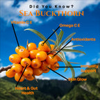 Nurture Tree Sea Buckthorn Dried Berries | Sun-Dried Superfood for Energy & Immunity | Natural & Unsweetened | Rich in Omega 3-6-7-9, Vitamin C & E | Supports Skin, Gut & Heart Health | No Preservatives (200gm)