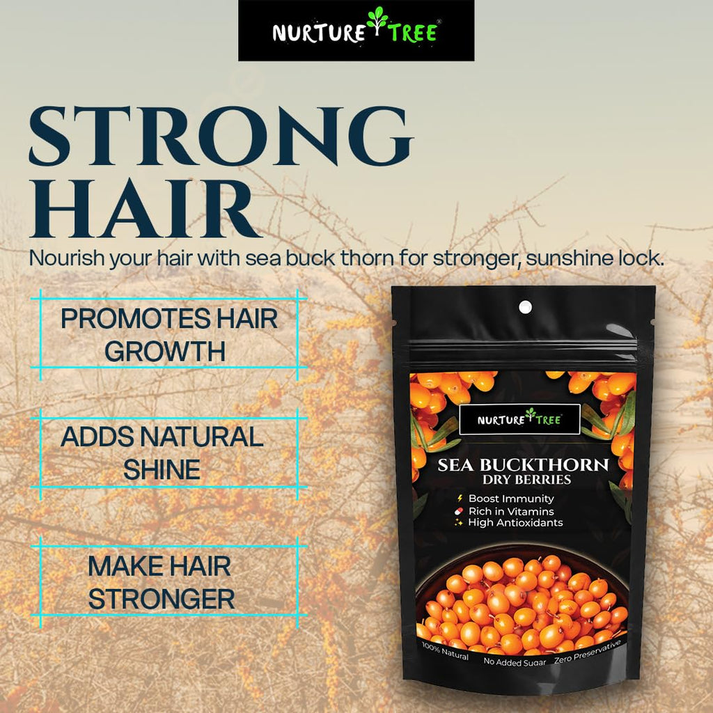 Nurture Tree Sea Buckthorn Dried Berries | Sun-Dried Superfood for Energy & Immunity | Natural & Unsweetened | Rich in Omega 3-6-7-9, Vitamin C & E | Supports Skin, Gut & Heart Health | No Preservatives (200gm)