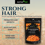 Nurture Tree Sea Buckthorn Dried Berries | Sun-Dried Superfood for Energy & Immunity | Natural & Unsweetened | Rich in Omega 3-6-7-9, Vitamin C & E | Supports Skin, Gut & Heart Health | No Preservatives (200gm)