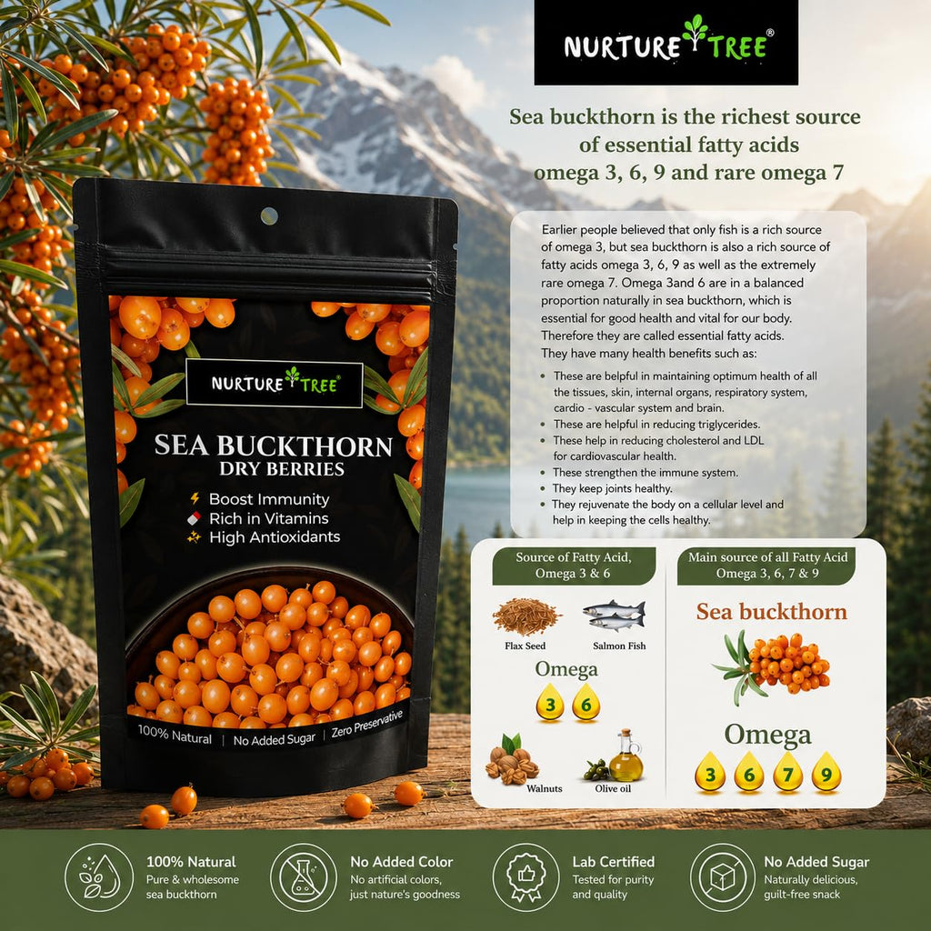 Nurture Tree Sea Buckthorn Dried Berries | Sun-Dried Superfood for Energy & Immunity | Natural & Unsweetened | Rich in Omega 3-6-7-9, Vitamin C & E | Supports Skin, Gut & Heart Health | No Preservatives (200gm)