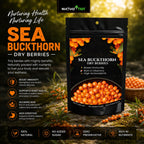 Nurture Tree Sea Buckthorn Dried Berries | Sun-Dried Superfood for Energy & Immunity | Natural & Unsweetened | Rich in Omega 3-6-7-9, Vitamin C & E | Supports Skin, Gut & Heart Health | No Preservatives (200gm)