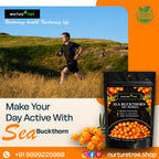 Nurture Tree Sea Buckthorn Dried Berries | Sun-Dried Superfood for Energy & Immunity | Natural & Unsweetened | Rich in Omega 3-6-7-9, Vitamin C & E | Supports Skin, Gut & Heart Health | No Preservatives (200gm)