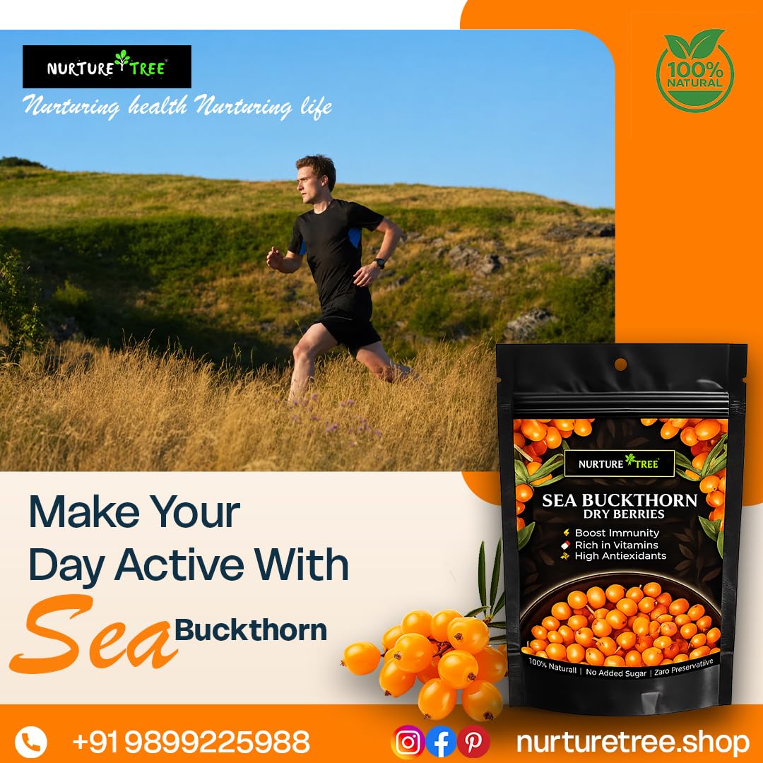 Nurture Tree Sea Buckthorn Dried Berries | Sun-Dried Superfood for Energy & Immunity | Natural & Unsweetened | Rich in Omega 3-6-7-9, Vitamin C & E | Supports Skin, Gut & Heart Health | No Preservatives (200gm)