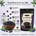 Nurture Tree Premium Dried Blueberries | Antioxidant-Rich Superfood