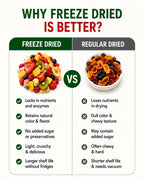 Nurture Tree Freeze Dried Mixed Fruit Snack 12g | 8 in 1 | Strawberry, Apple, , Banana, Mango,Guava , Kiwi & Fig ETC | 100% Real Fruits | No Added Sugar | Rich in Fiber | Crispy & Crunchy Healthy Snack for Kids & Adults