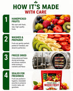 Nurture Tree Freeze Dried Mixed Fruit Snack 12g | 8 in 1 | Strawberry, Apple, , Banana, Mango,Guava , Kiwi & Fig ETC | 100% Real Fruits | No Added Sugar | Rich in Fiber | Crispy & Crunchy Healthy Snack for Kids & Adults