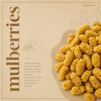Nurture Tree Dried Mulberries | 100% Natural & Unsulfured