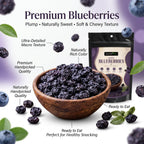 Nurture Tree Premium Dried Blueberries | Antioxidant-Rich Superfood