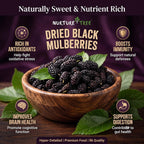 Nurture Tree Dried Black Mulberries | 100% Natural | Vegan & Gluten-Free Superfood | No Added Sugar | Rich in Fiber & Antioxidants | Healthy Snack (50gm)