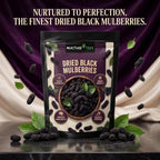 Nurture Tree Dried Black Mulberries | 100% Natural | Vegan & Gluten-Free Superfood | No Added Sugar | Rich in Fiber & Antioxidants | Healthy Snack (50gm)
