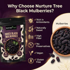 Nurture Tree Dried Black Mulberries | 100% Natural | Vegan & Gluten-Free Superfood | No Added Sugar | Rich in Fiber & Antioxidants | Healthy Snack (50gm)