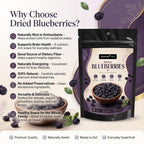 Nurture Tree Premium Dried Blueberries | Antioxidant-Rich Superfood