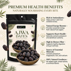Nurture Tree Premium Saudi Ajwa Dates (Khajoor) | Naturally Soft & Delicious