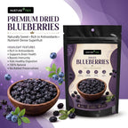 Nurture Tree Premium Dried Blueberries | Antioxidant-Rich Superfood