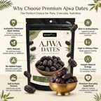 Nurture Tree Premium Saudi Ajwa Dates (Khajoor) | Naturally Soft & Delicious