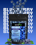 Nurture Tree Premium Dried Blueberries | Antioxidant-Rich Superfood