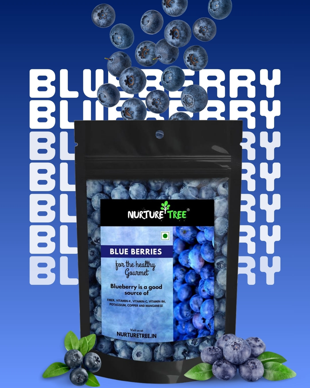 Nurture Tree Premium Dried Blueberries | Antioxidant-Rich Superfood