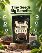 Healthy Seeds Combo 5 Pack | Chia, Sunflower, Watermelon, Flax & Pumpkin Seeds