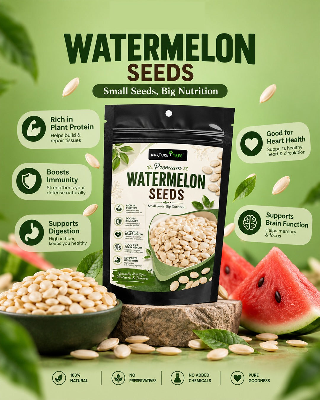 Healthy Seeds Combo 5 Pack | Chia, Sunflower, Watermelon, Flax & Pumpkin Seeds
